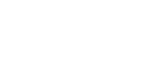 Bloom Furniture Studio logo