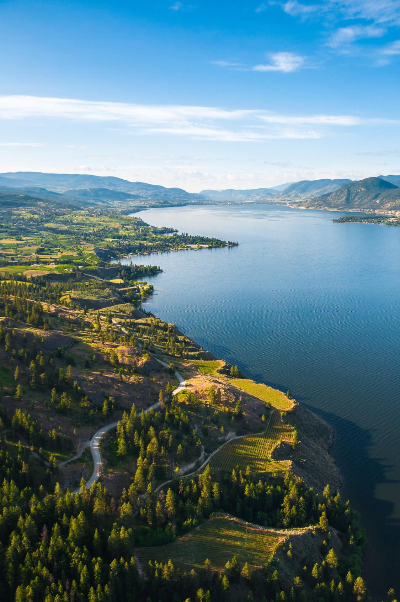 Aerial view of Okanagan Lake with vineyards and forested hillsides