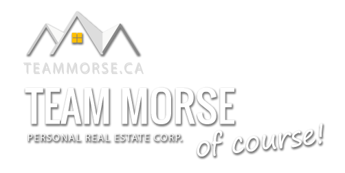 Team Morse Personal Real Estate Corp. logo